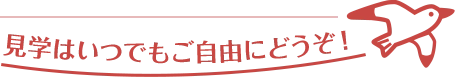 見学はいつでもご自由にどうぞ！